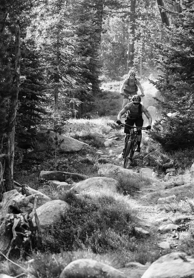 2 mountain bikers coming down the trail in black and white.