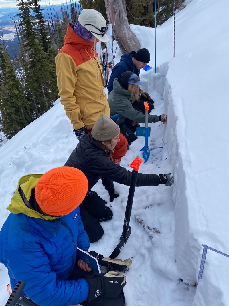 Avalanche course students examining layers in a snow pit
