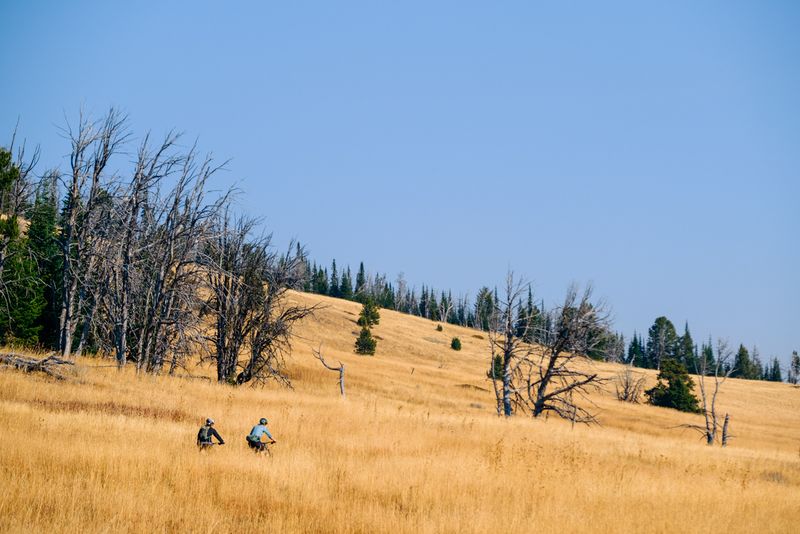 Riders traversing the alpine meadows